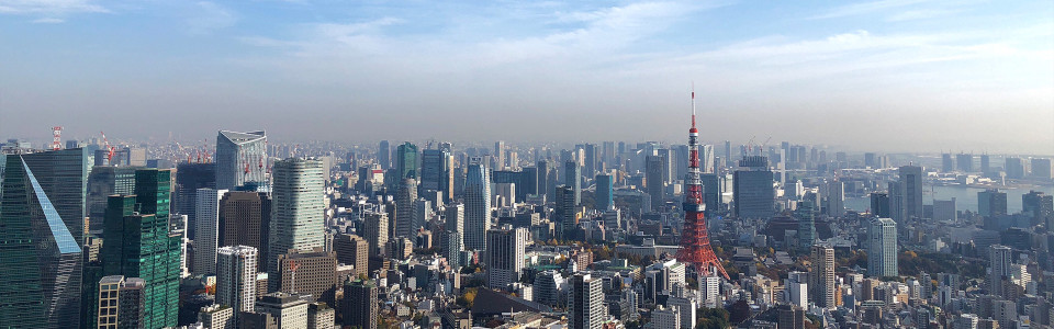 【新潟市】相続税対策で不動産を活用するメリット・デメリットと活用事例